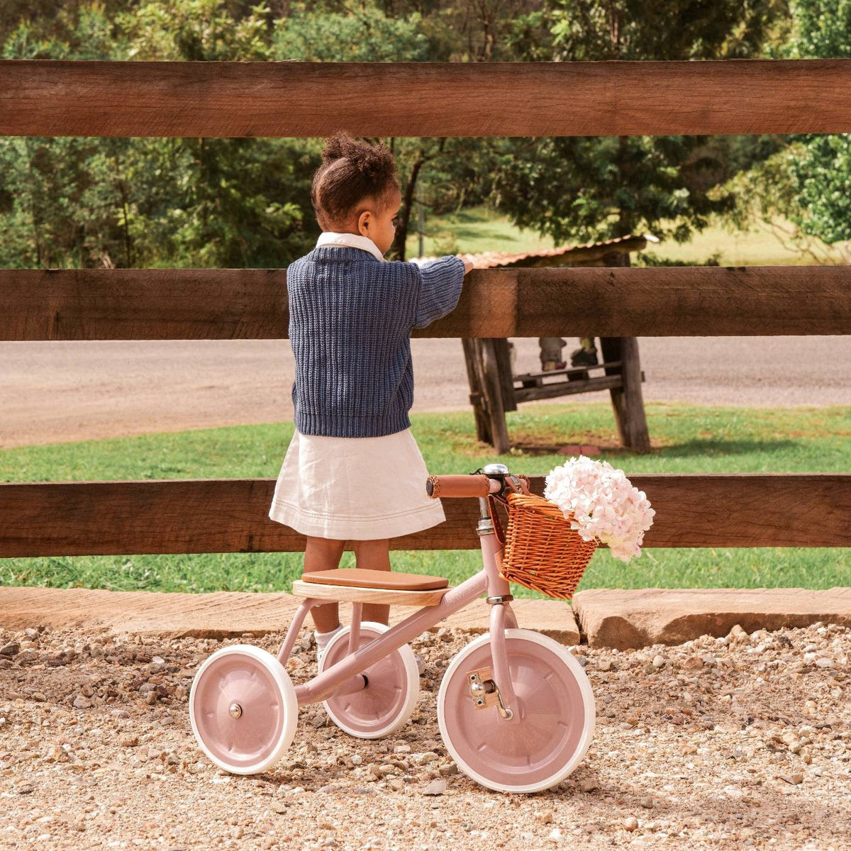Banwood Rowerek trójkołowy Trike Dusty Pink – zdjęcie aranżacyjne