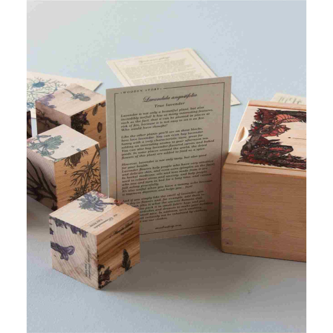 Drewniane klocki Życie Pszczoły Wooden Story – rośliny miododajne – zdjęcie 3