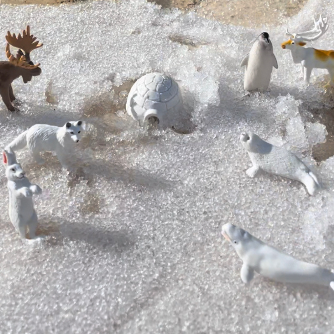 Figurki w tubie Safari Ltd – Zwierzęta Arktyki, 10 szt. – zdjęcie 5