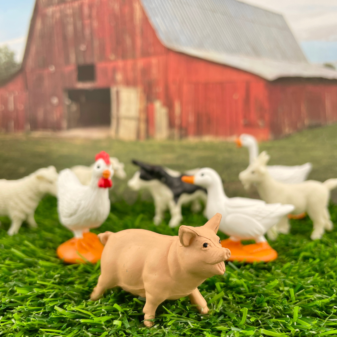 Figurki w tubie Safari Ltd – Zwierzęta na wsi, 12 szt. – zdjęcie 7