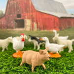 Figurki w tubie Safari Ltd – Zwierzęta na wsi, 12 szt. – zdjęcie 7