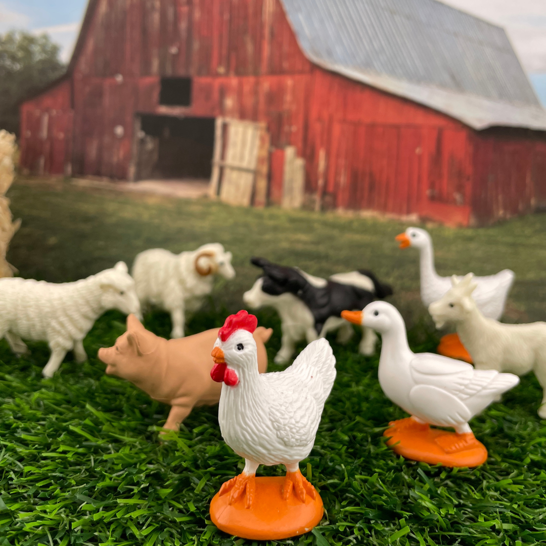 Figurki w tubie Safari Ltd – Zwierzęta na wsi, 12 szt. – zdjęcie 4
