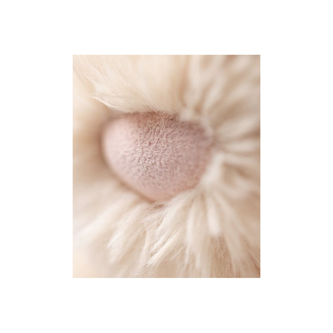 Plecak Jellycat – Króliczek Słodziak 43 cm, zbliżenie na nosek