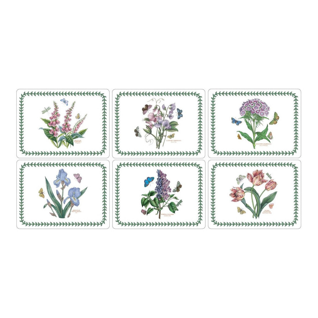 Podkładki korkowe Botanic Garden Pimpernel – ogród botaniczny, 6 szt., 30,5 × 23 cm